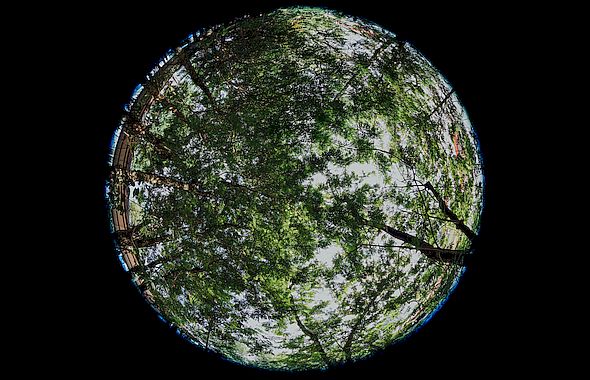 Chuttersnap/unsplash chuttersnap unsplash