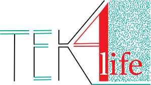 logo tek4life